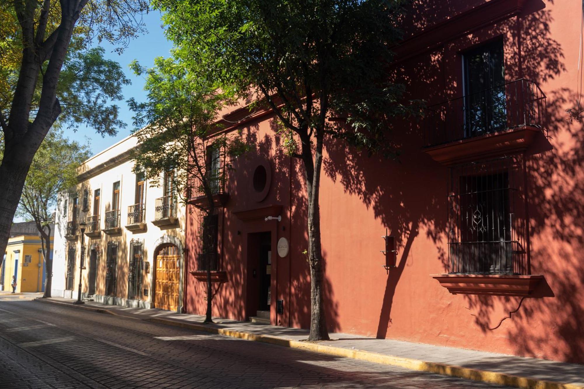 El Consuelo Otel Oaxaca Dış mekan fotoğraf
